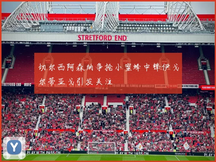 切尔西阿森纳争抢小蜜蜂中锋伊戈尔蒂亚戈引发关注
